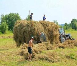 Правила пожарной безопасности при проведении сенокоса